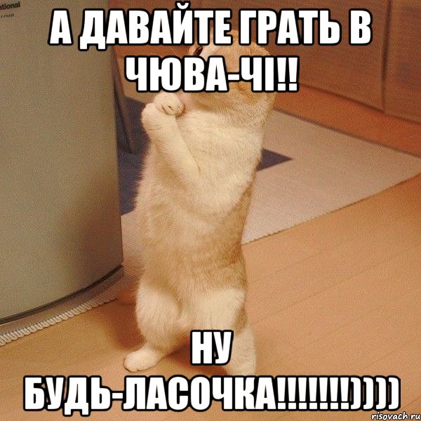 А давайте грать в чюва-чі!! Ну будь-ласочка!!!!!!!)))), Мем  котэ молится