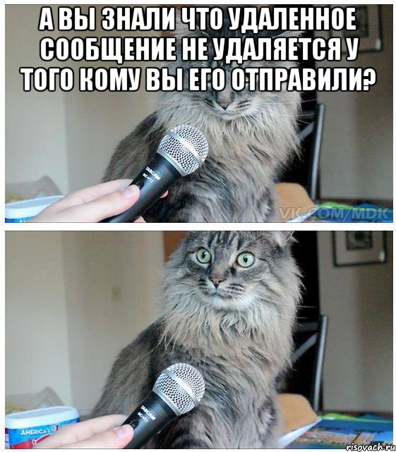 А вы знали что удаленное сообщение не удаляется у того кому вы его отправили? , Комикс  кот с микрофоном