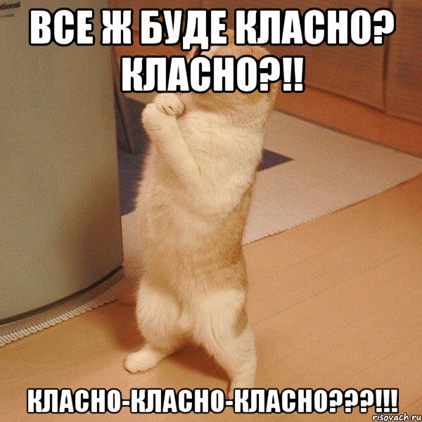 Все ж буде класно? класно?!! класно-класно-класно???!!!, Мем  котэ молится