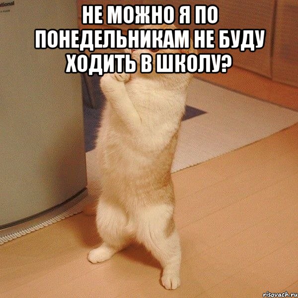 Не можно я по понедельникам не буду ходить в школу? , Мем  котэ молится