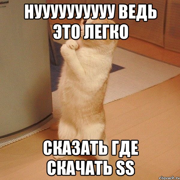 нуууууууууу ведь это легко сказать ГДЕ СКАЧАТЬ SS, Мем  котэ молится