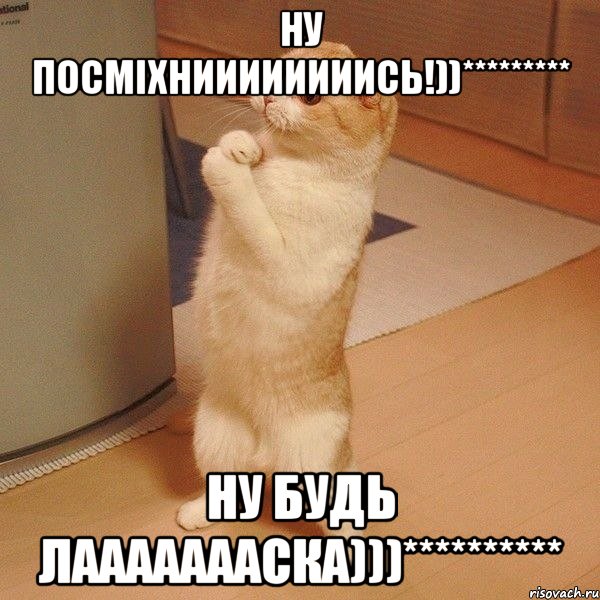 Ну посмiхниииииииись!))********* Ну будь лаааааааска)))**********, Мем  котэ молится