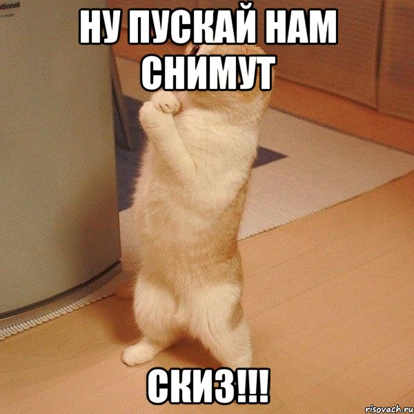 Ну пускай нам снимут СКИЗ!!!, Мем  котэ молится