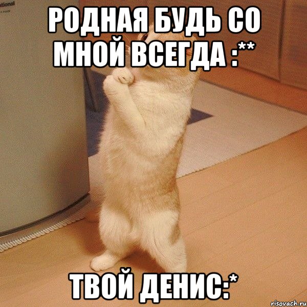 Родная будь со мной всегда :** твой ДЕНИС:*, Мем  котэ молится