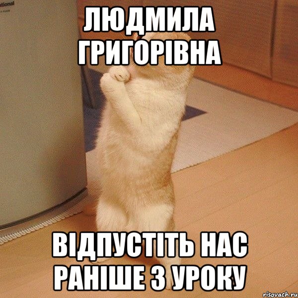 Людмила Григорівна відпустіть нас раніше з уроку, Мем  котэ молится