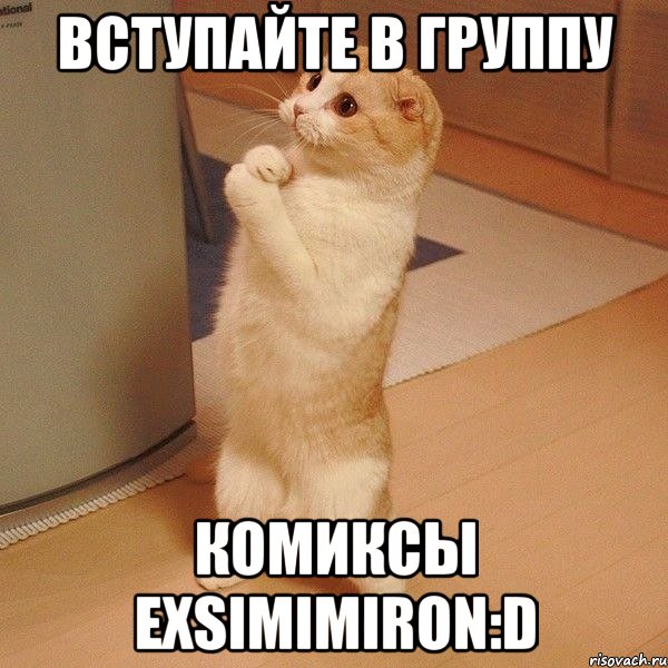 Вступайте в группу Комиксы ExSiMimIrOn:D, Мем  котэ молится