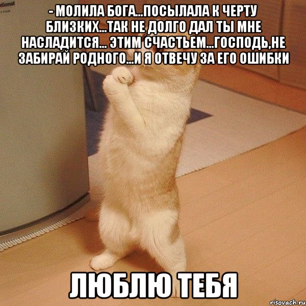 - молила бога...посылала к черту близких...так не долго дал ты мне насладится... этим счастьем...господь,не забирай родного...и я отвечу за его ошибки Люблю тебя, Мем  котэ молится