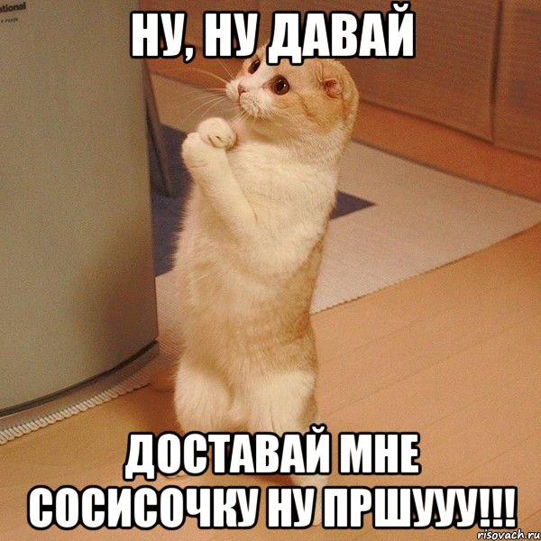 Ну, ну давай доставай мне сосисочку ну пршууу!!!, Мем  котэ молится