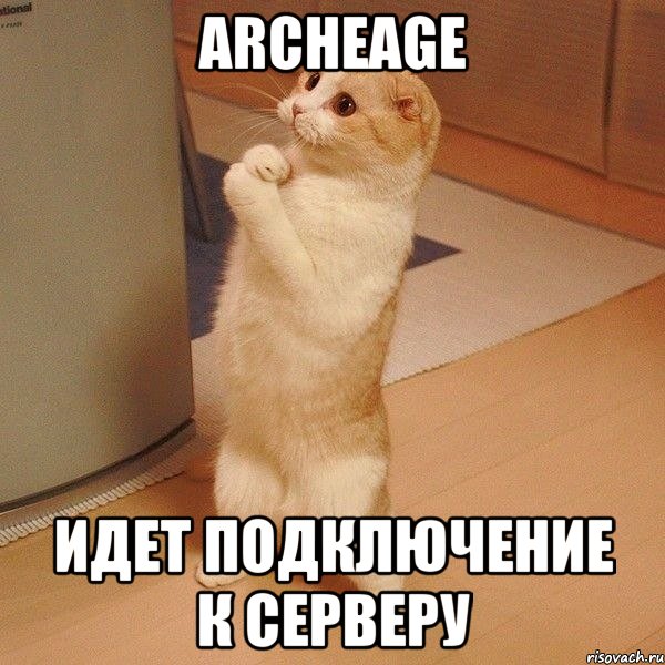 ArcheAge идет подключение к серверу, Мем  котэ молится