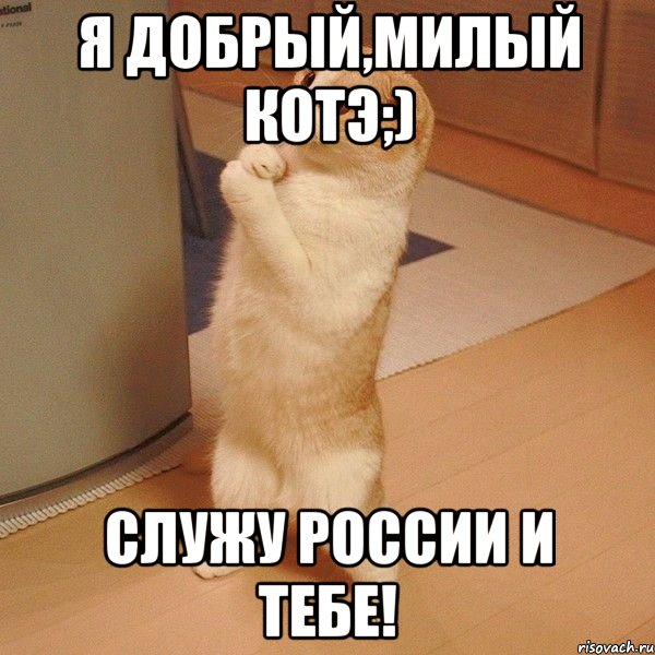 Я добрый,милый котэ;) Служу России и тебе!, Мем  котэ молится