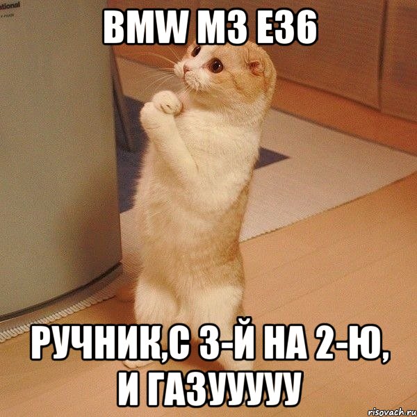 Bmw m3 e36 ручник,с 3-й на 2-ю, и газууууу, Мем  котэ молится