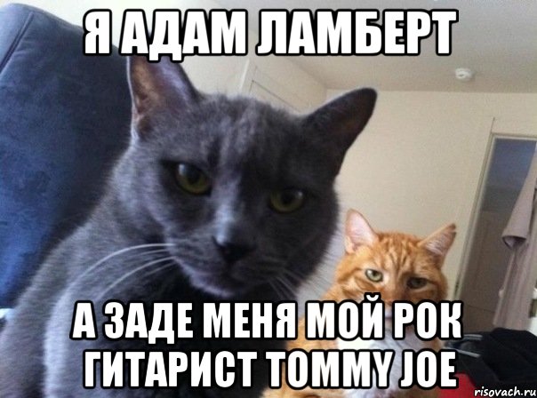 я адам ламберт а заде меня мой рок гитарист Tommy Joe, Мем  Два котэ