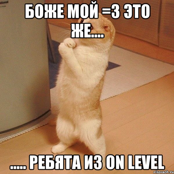 Боже мой =3 это же.... ..... ребята из On Level, Мем  котэ молится