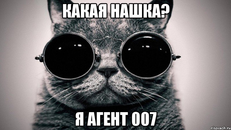 Какая нашка? Я агент 007