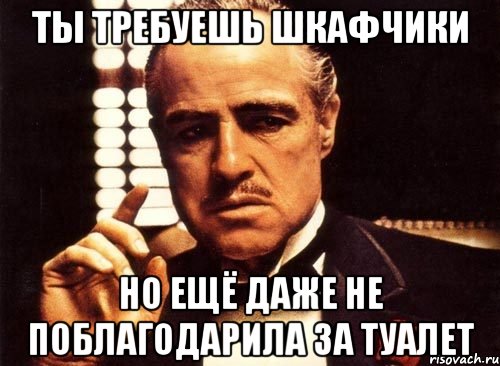 Ты требуешь шкафчики Но ещё даже не поблагодарила за туалет, Мем крестный отец