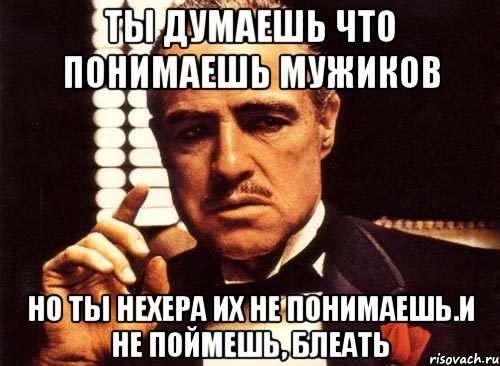 Ты думаешь что понимаешь мужиков Но ты НЕХЕРА их не понимаешь.и не поймешь, блеать, Мем крестный отец