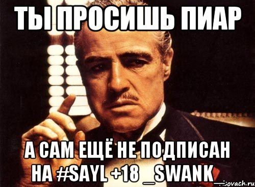 Ты просишь пиар А сам ещё не подписан на #SayL +18 _SwanK_, Мем крестный отец