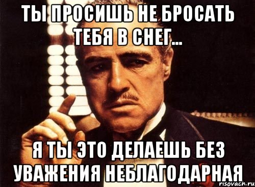 Ты просишь не бросать тебя в снег... Я ты это делаешь без уважения Неблагодарная, Мем крестный отец