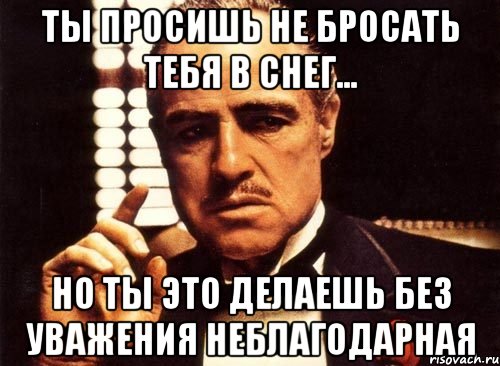 Ты просишь не бросать тебя в снег... Но ты это делаешь без уважения Неблагодарная, Мем крестный отец