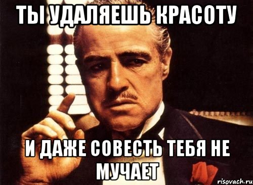 ты удаляешь красоту и даже совесть тебя не мучает, Мем крестный отец