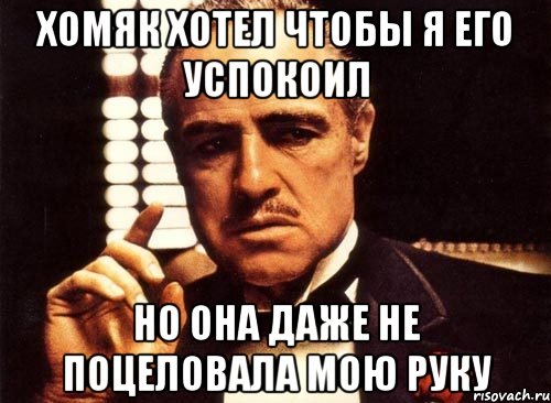 Хомяк хотел чтобы я его успокоил Но она даже не поцеловала мою руку, Мем крестный отец