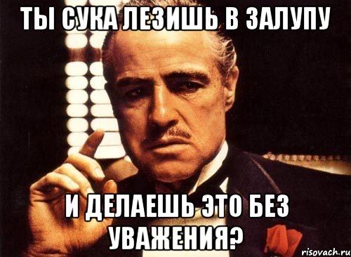 Ты сука лезишь в залупу И делаешь это без уважения?, Мем крестный отец