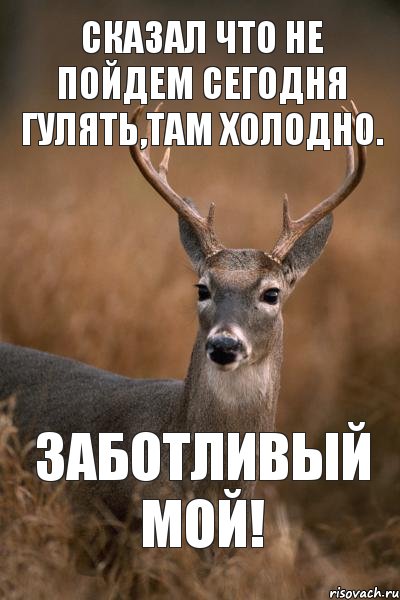 СКАЗАЛ ЧТО НЕ ПОЙДЕМ СЕГОДНЯ ГУЛЯТЬ,ТАМ ХОЛОДНО. ЗАБОТЛИВЫЙ МОЙ!, Мем Олене