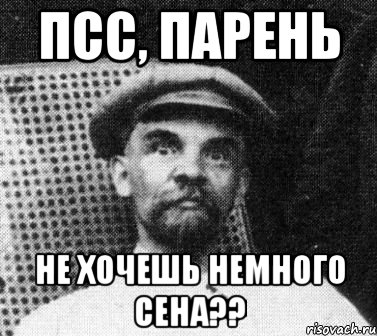 псс, парень Не хочешь немного сена??, Мем   Ленин удивлен