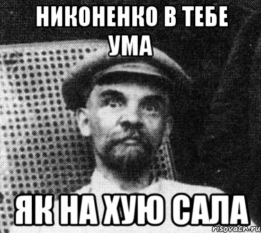 Никоненко в тебе ума як на хую сала, Мем   Ленин удивлен