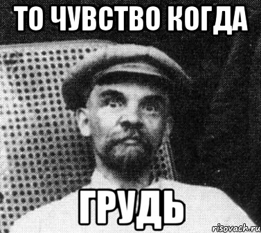 То чувство когда Грудь, Мем   Ленин удивлен