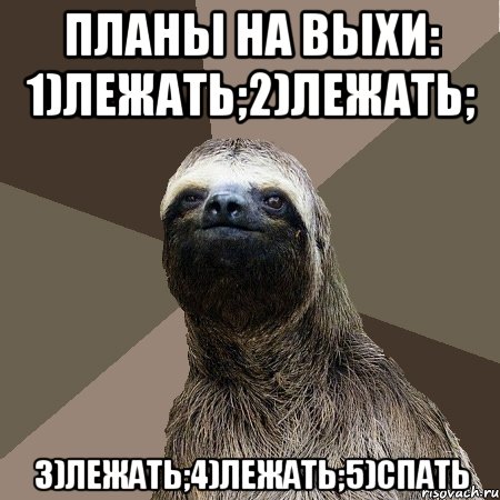 планы на выхи: 1)лежать;2)лежать; 3)лежать;4)лежать;5)спать, Мем Ленивец2