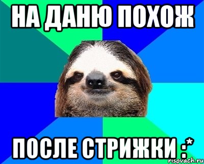 На даню похож После стрижки :*, Мем Ленивец