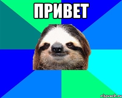 привет , Мем Ленивец
