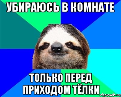 Убираюсь в комнате только перед приходом тёлки, Мем Ленивец