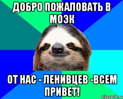 Добро пожаловать в МОЭК От нас - ленивцев -всем привет!, Мем Ленивец