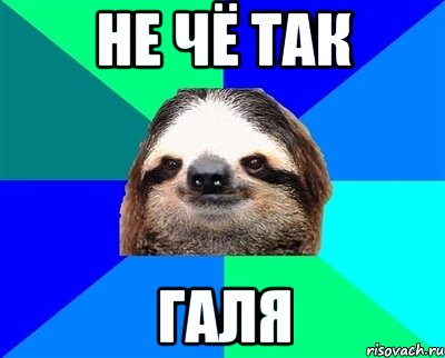 не чё так галя, Мем Ленивец