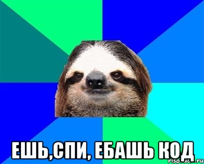  Ешь,Спи, Ебашь код, Мем Ленивец
