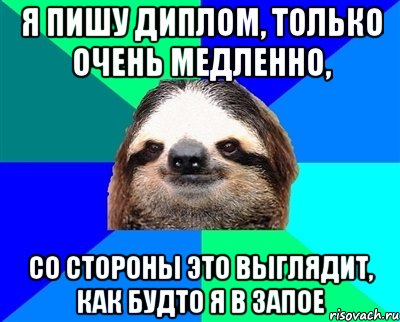 Я пишу диплом, только очень медленно, со стороны это выглядит, как будто я в запое, Мем Ленивец