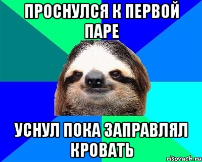 проснулся к первой паре уснул пока заправлял кровать, Мем Ленивец