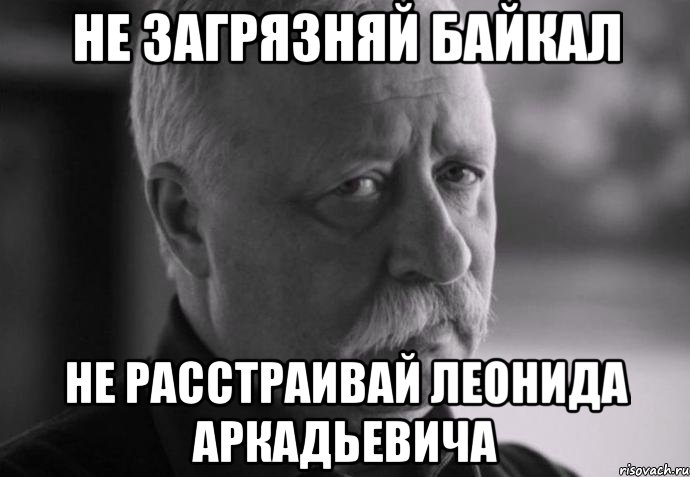 НЕ ЗАГРЯЗНЯЙ БАЙКАЛ НЕ РАССТРАИВАЙ ЛЕОНИДА АРКАДЬЕВИЧА, Мем Не расстраивай Леонида Аркадьевича