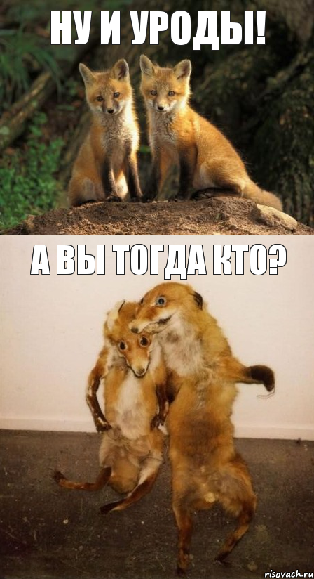 Ну и уроды! А вы тогда кто?, Комикс Лисицы