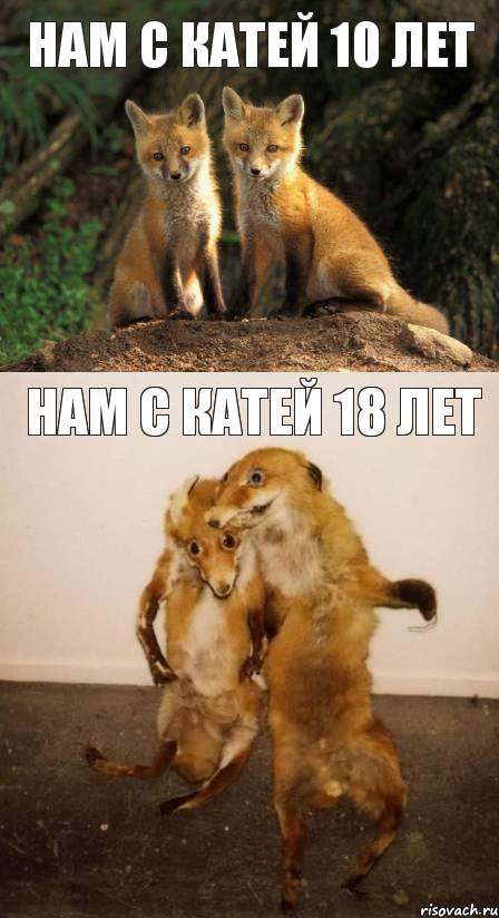 Нам с Катей 10 лет Нам с Катей 18 лет, Комикс Лисицы