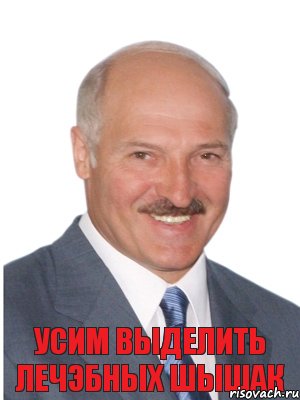 Усим выделить лечэбных шышак, Комикс Лукашенко