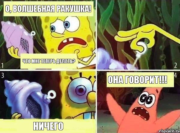 О, Волшебная Ракушка! Что мне теперь делать? Ничего ОНА ГОВОРИТ!!!