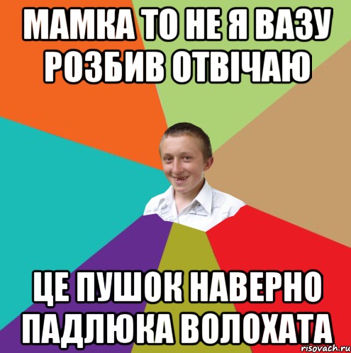 мамка то не я вазу розбив отвічаю це пушок наверно падлюка волохата, Мем  малый паца