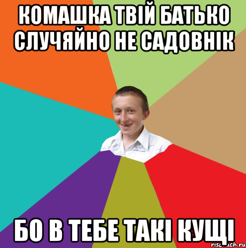 Комашка твій батько случяйно не садовнік Бо в тебе такі кущі, Мем  малый паца