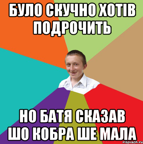 Було скучно хотів подрочить Но батя сказав шо кобра ше мала, Мем  малый паца