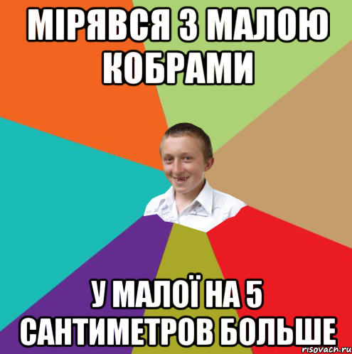 Мірявся з малою кобрами У малої на 5 сантиметров больше, Мем  малый паца