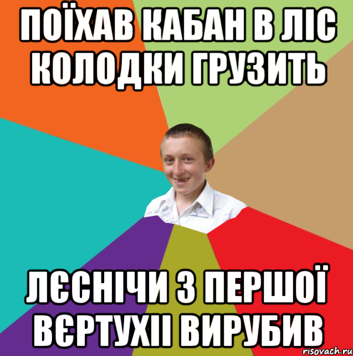 поїхав кабан в ліс колодки грузить лєснічи з першої вєртухіі вирубив, Мем  малый паца