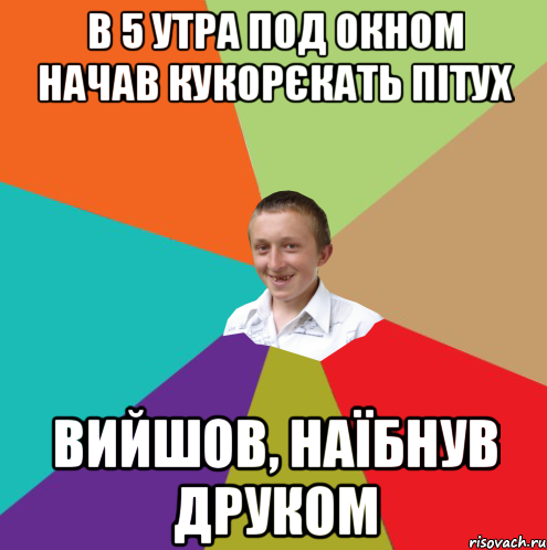 в 5 утра под окном начав кукорєкать пітух вийшов, наїбнув друком, Мем  малый паца